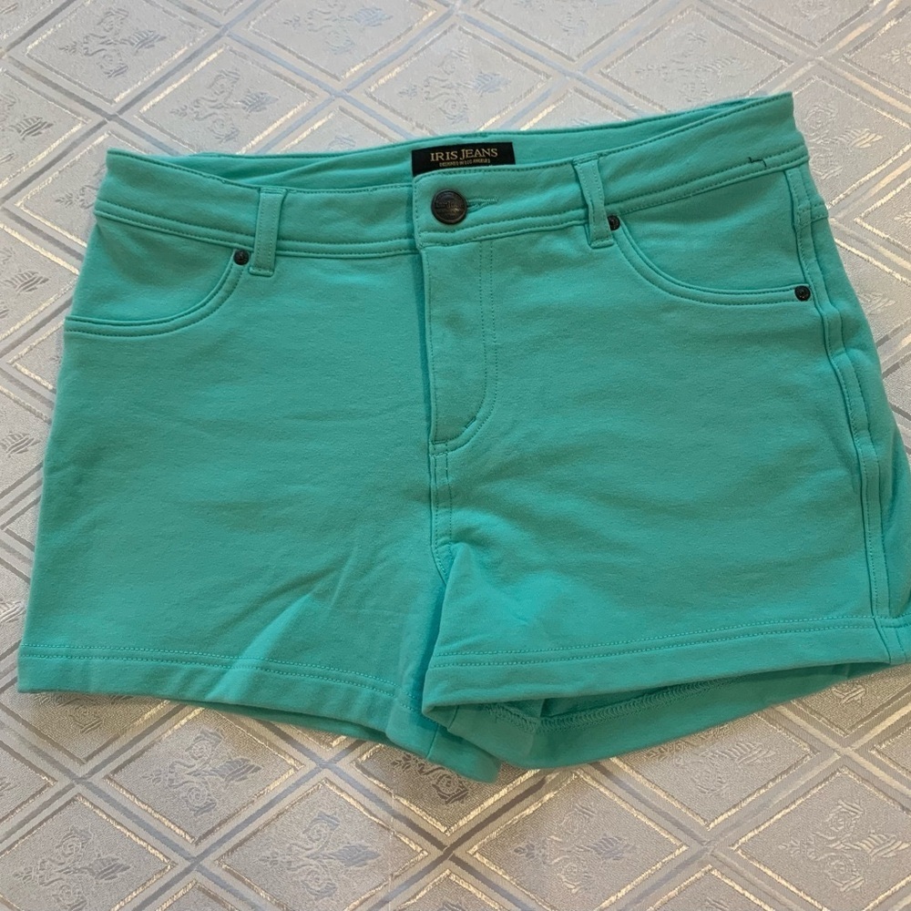 Women's Shorts in aquamarine color, size L, EUC